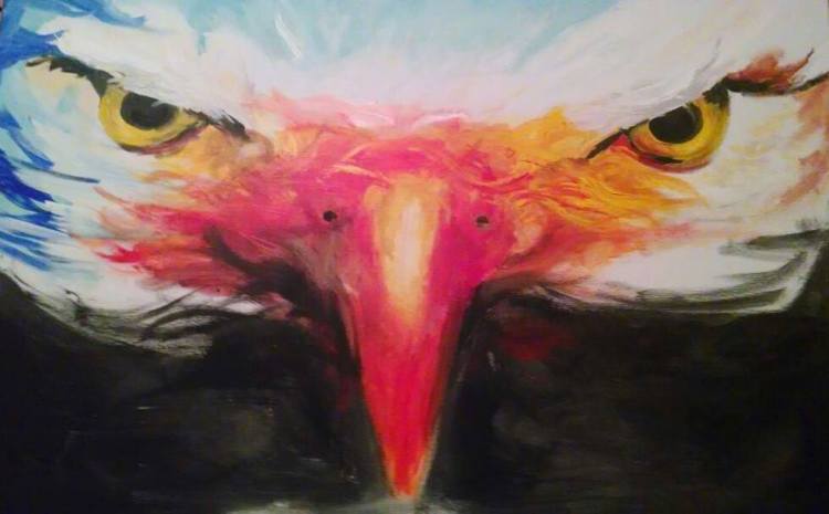 12657337_215325612145522_9136349261815530690_o